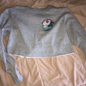 Cropped sweatshirt from pacsun